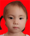 何嘉欣